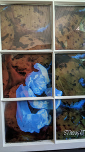 WINDOW DRESSING SERIES Genie in a Bottle STRAUGHT 18x24 print